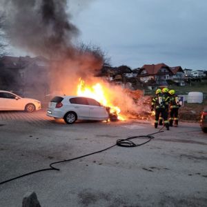 PkwBrand (0)
